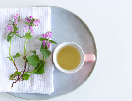 Closeup of Lamium amplexicaule, commonly known as common henbit, or greater henbit, earthenware plate, cotton towel on white table background and cup with tea.Floral composition.の写真素材