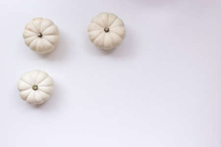 Autumn frame made of white pumpkins isolated on table background. Fall, Halloween, Thanksgiving concept. Styled stock flat lay photography, web banner. Top view. Empty copy space. Autumn concept.の写真素材
