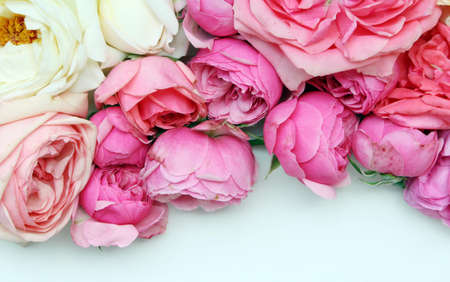 Floral pattern made of roses on blue background. Flat lay, top view. Valentines background. Floral pattern. The pattern of flowers. Flowers pattern texture.の写真素材