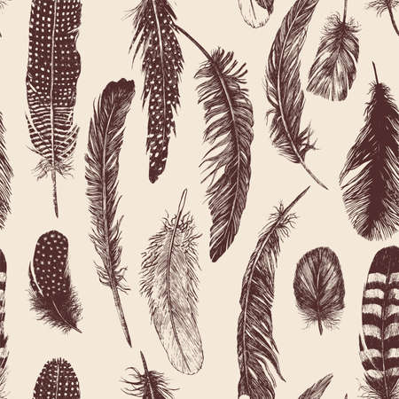 Hand drawn vintage set with different feathers. Vector.のイラスト素材