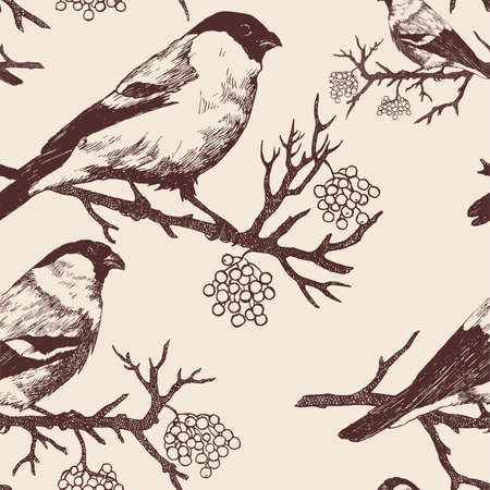 Seamless bullfinch pattern. Hand drawn vector. Vintage styleのイラスト素材