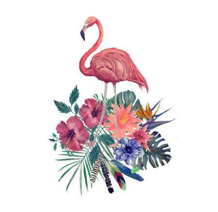 Watercolor illustration of flamingo with leaves, flowers.の写真素材