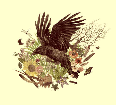 Hand drawn watercolor vintage style illustration with raven.の写真素材