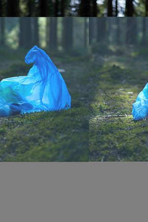 A blue trash bag with garbage inside thrown away in a clear coniferous forest.の写真素材