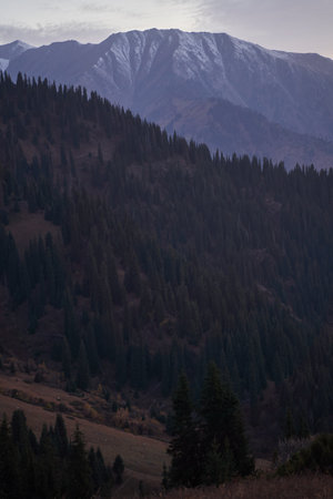 Evening landscape in the mountains. vertical orientation. High quality photo.の写真素材