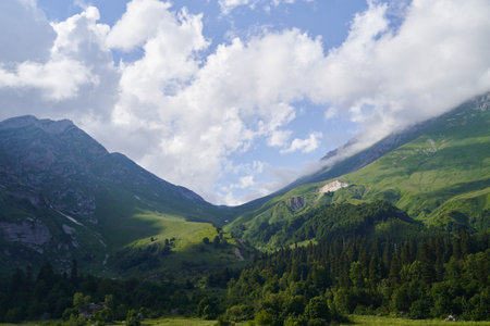 Great landscape with a green mountain pass, forests and meadows.の写真素材