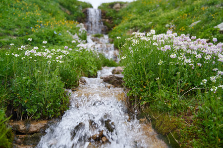 The last pure spring due to poor ecology. World pollution.の写真素材