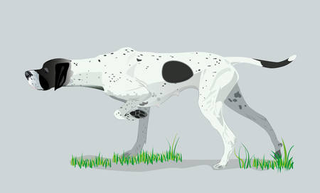 White spotted dog on the grassのイラスト素材