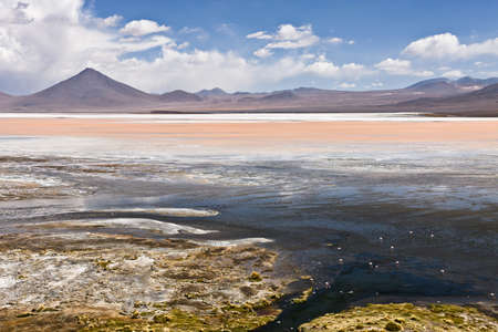 Highland landscape with flamingo on salt lake in Bolivia の写真素材