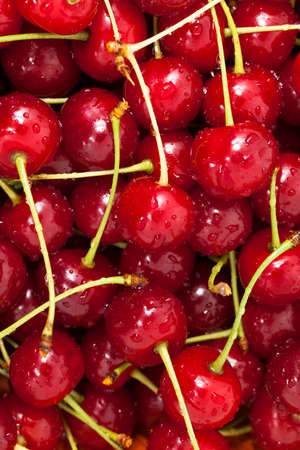 the ripe red cherries lying in a heap covered with drops of waterの写真素材