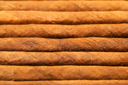 the cigarettes put together. small depth of sharpnessの写真素材