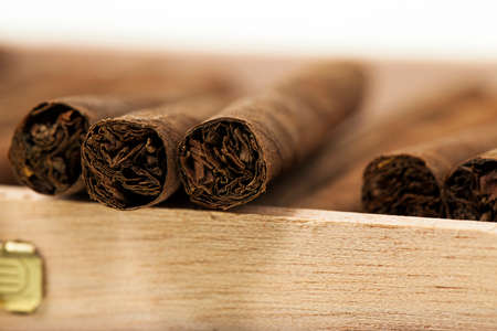 cigars lying in a box. small depth of sharpnessの写真素材