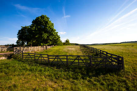 part of the territory of the old farm fenced with a wooden fenceの写真素材