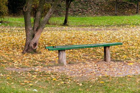 a lone wooden bench in a green park. Autumn.