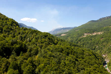 the mountains covered with various trees, other plants. Montenegroの写真素材