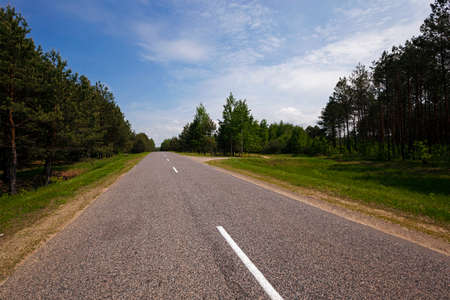 the small rural asphalted road photographed in summertime of year. Belarusの写真素材