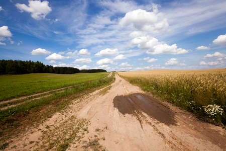 the small not asphalted road in rural areasの写真素材
