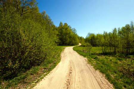 the road is not covered with asphalt, taking place in the forest.の写真素材