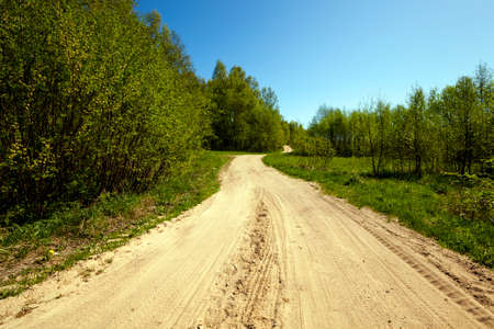 the road is not covered with asphalt, taking place in the forest.の写真素材