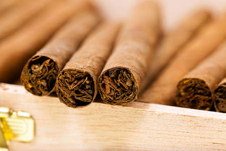 wooden box in which there are small cigars. small depth of sharpnessの写真素材