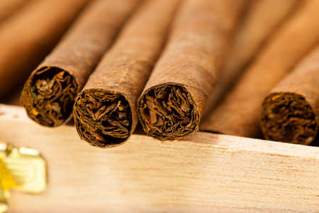 wooden box in which there are small cigars. small depth of sharpnessの写真素材