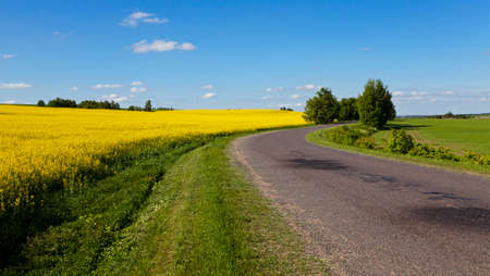 the small asphalted road which is in rural areas. Belarusの写真素材