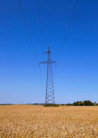 the high-voltage lines of electric transfers being in an agricultural fieldの写真素材