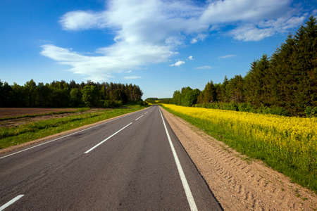 the small rural asphalted road photographed in summertime of year. Belarusの写真素材