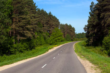 the small asphalted road passing about the wood. springの写真素材