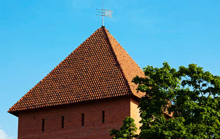 the fortress located in the city Lida, Belarusのeditorial素材