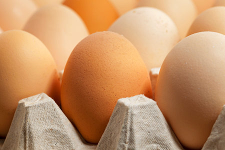 the eggs photographed by a close up. small depth of sharpness