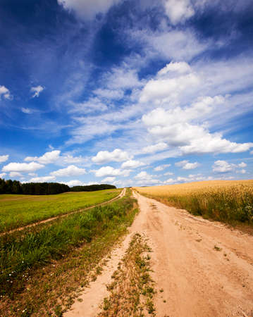 not asphalted the small roads passing on an agricultural field.の写真素材
