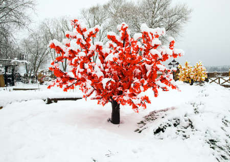 photographed close up artificial tree. Winterの写真素材