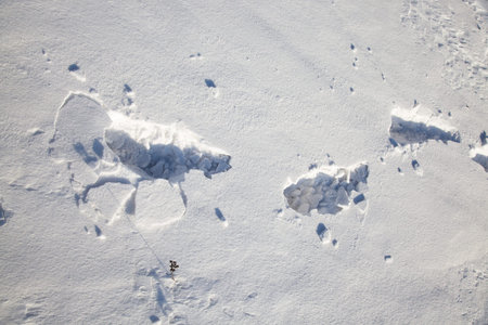 the traces of the person photographed by a close up which remained on snowの写真素材