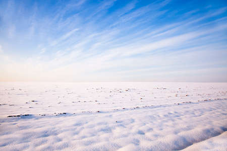 the field covered with snow in a winter season. overcastの写真素材