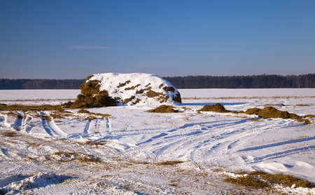 Rick of straw in the field. snow covered. Winterの写真素材