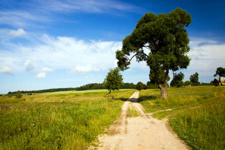 rural road in the summer time yearの写真素材