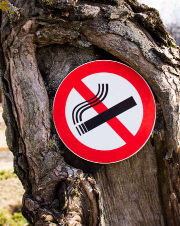 sign forbidding smoking, pinned on a treeの写真素材