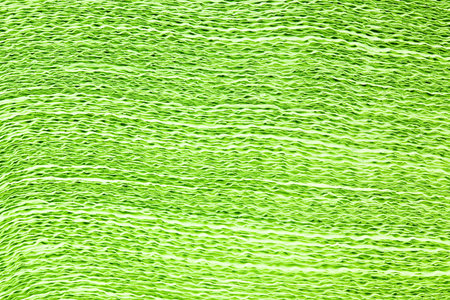 photographed closeup Pack green napkinsの写真素材