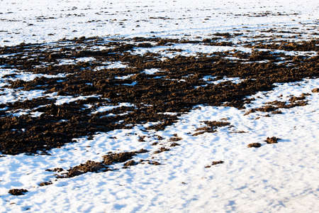 covered with snow in the winter timeの写真素材