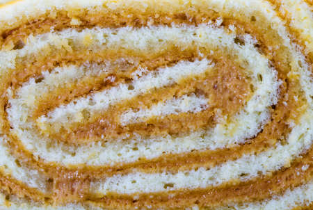 photographed closeup cut rollの写真素材