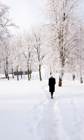 the girl going on a footpath in park. winter seasonの写真素材