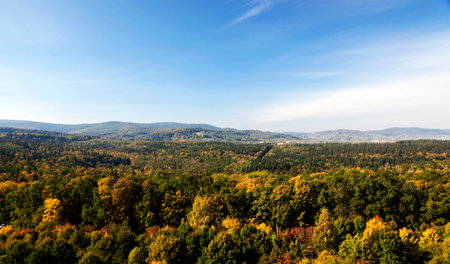 the treetops of the forest in autumn. In the background Carpathian mountains.