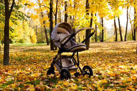 an empty baby carriage in the park in autumn seasonの写真素材