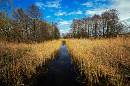 a small lake, photographed in the summer   seasonの写真素材