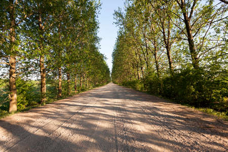 road, located in the countryside in the spring   seasonの写真素材