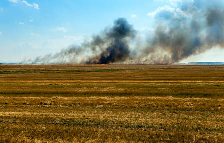 fire and black smoke in the agricultural field where harvested wheatの写真素材
