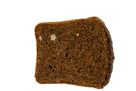 photographed close-up of black bread, which started to grow mold. isolated