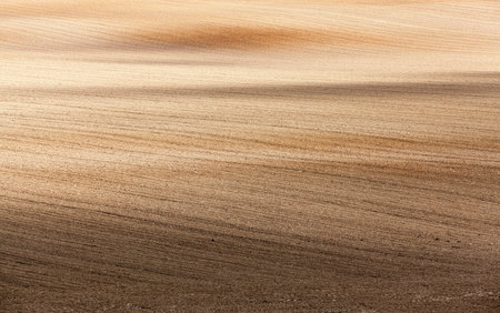 plowed and ready for sowing agricultural fields. close-up