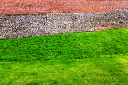 photographed close-up of green grass growing from the ancient castle rampartsの写真素材